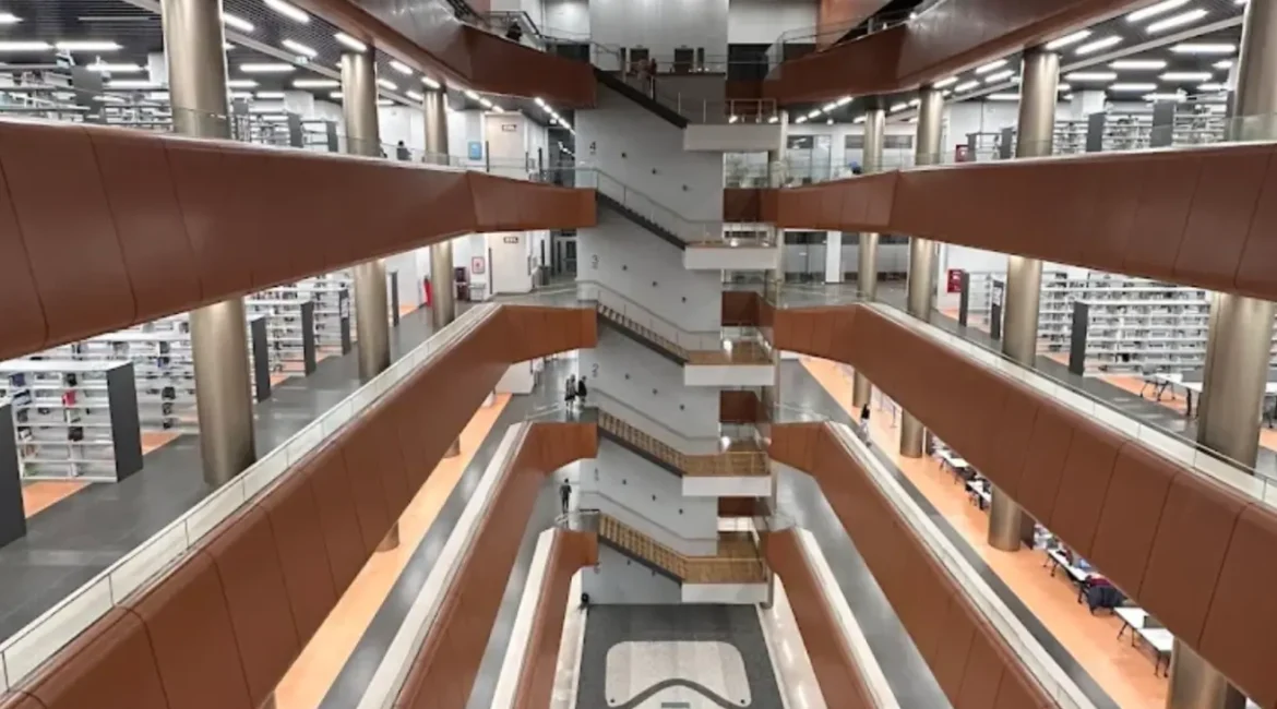 medeniyet üniversitesi